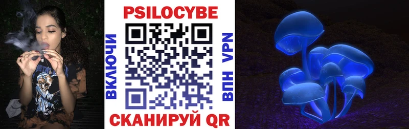 Галлюциногенные грибы Psilocybe  Сортавала 